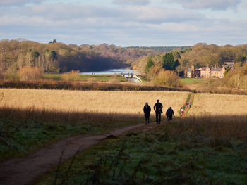 Clumber park walkers This landscape photograph captures Clumber Park in rural England during a winter morning, with sunlight casting long shadows over frost-tipped grass and golden fields. Walkers are visible moving along a winding path leading towards the park’s iconic ornamental bridge, which spans a lake surrounded by forest. To the right, the image includes the historic Clumber Park house, a well-known landmark set against the backdrop of dense woodland. The scene showcases typical winter colours of the British countryside, emphasizing the park’s tranquil setting in the United Kingdom.